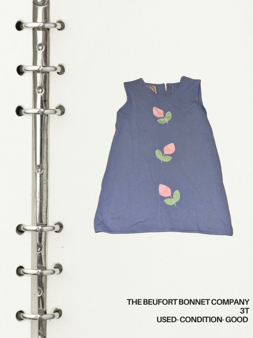 The Beaufort Bonnet Company Dress 3T